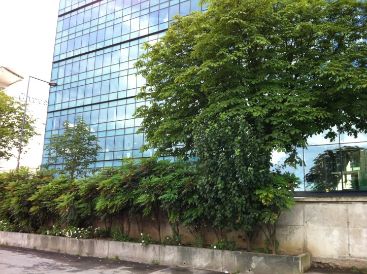 Ivry port bord de Seine 5