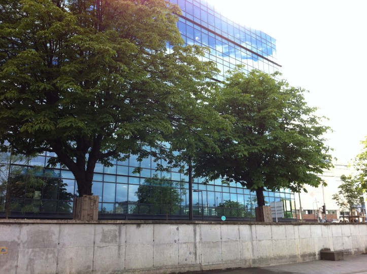 Ivry port bord de Seine 7