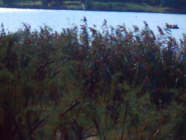 Lac de Créteil Val de Marne. France 11