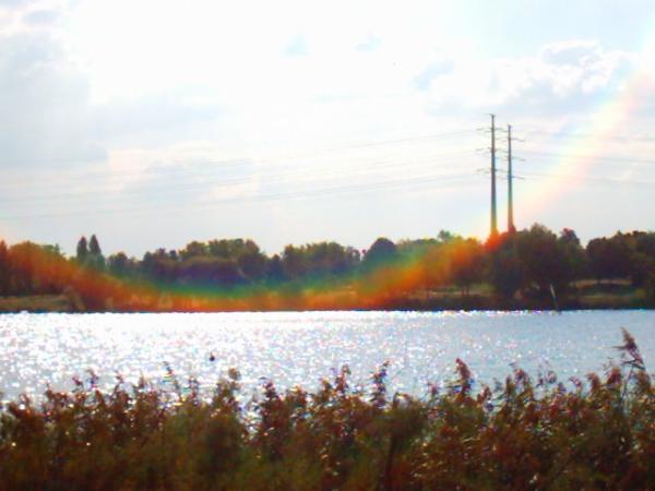 Lac de Créteil Val de Marne. France 13