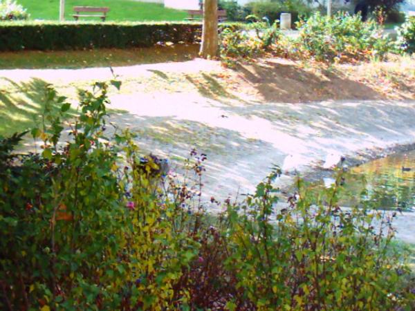 Lac de Créteil Val de Marne. France 3