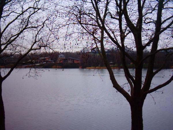 Lac de Créteil Val de Marne. France 5