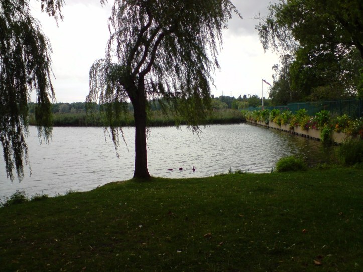 Lac de Créteil Val de Marne. France 52