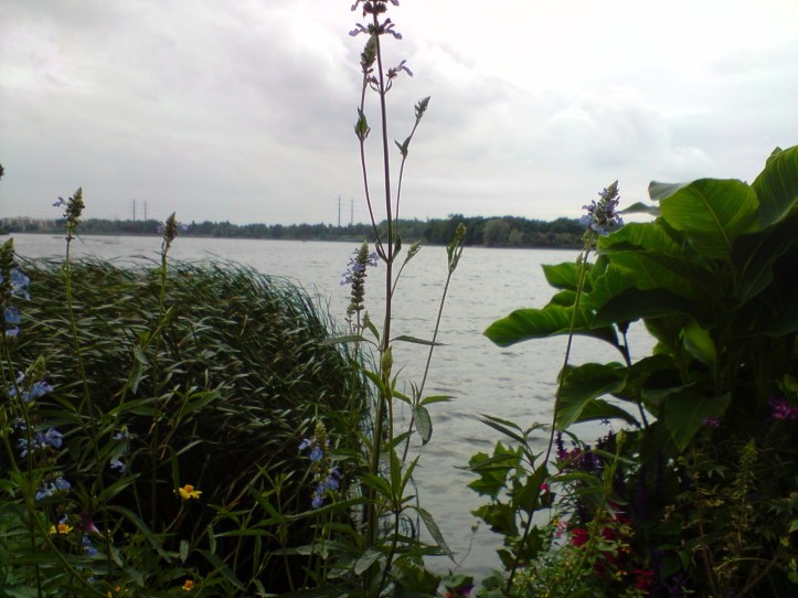 Lac de Créteil Val de Marne. France 54