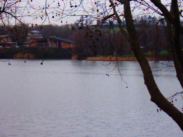 Lac de Créteil Val de Marne. France 6