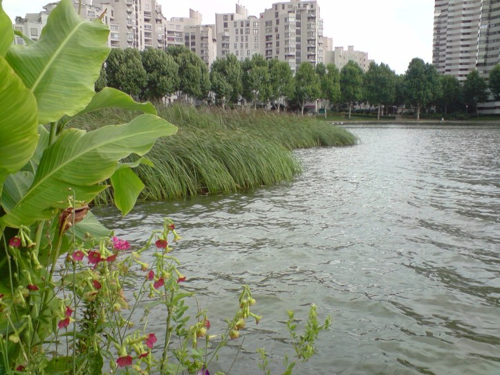 Lac de Créteil Val de Marne. France 60