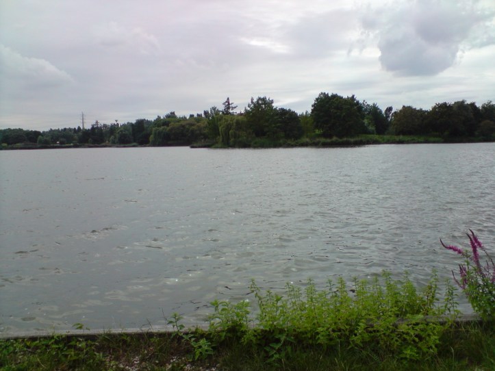 Lac de Créteil Val de Marne. France 63