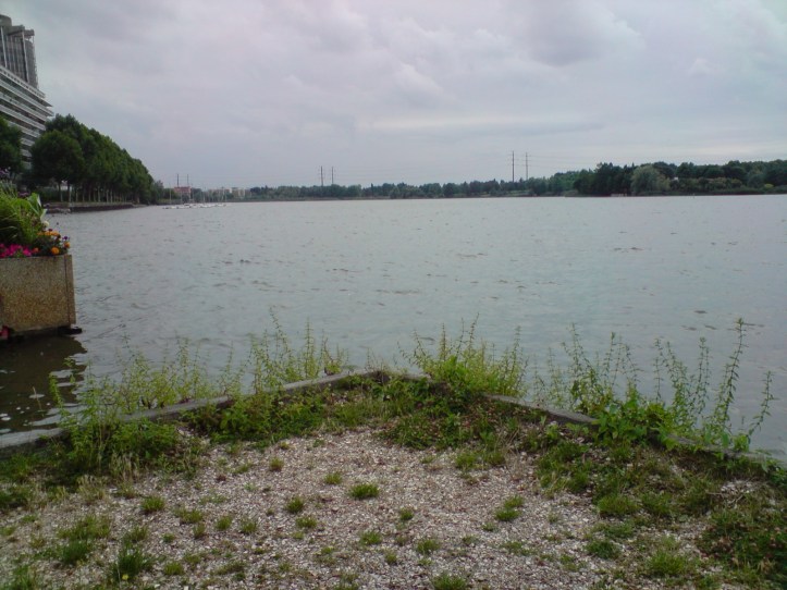 Lac de Créteil Val de Marne. France 64