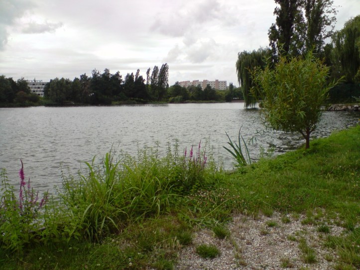 Lac de Créteil Val de Marne. France 65