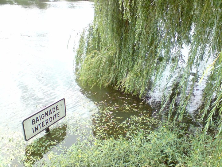Lac de Créteil Val de Marne. France 70