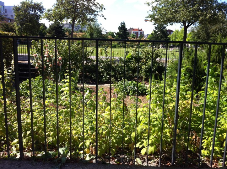 Parc des Cormailles 8