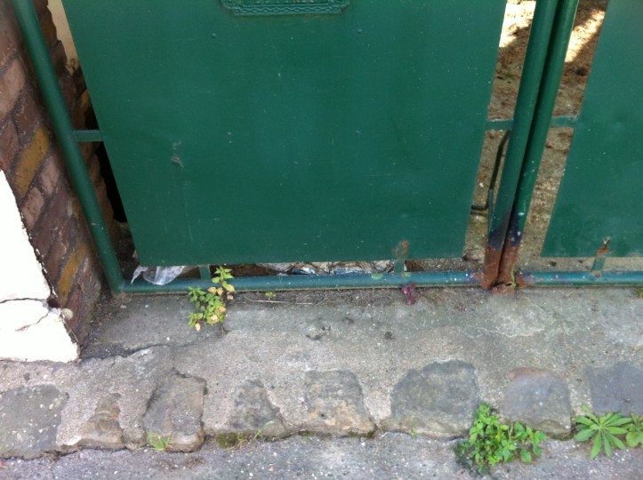 Rue Hoche, vieille maison 4