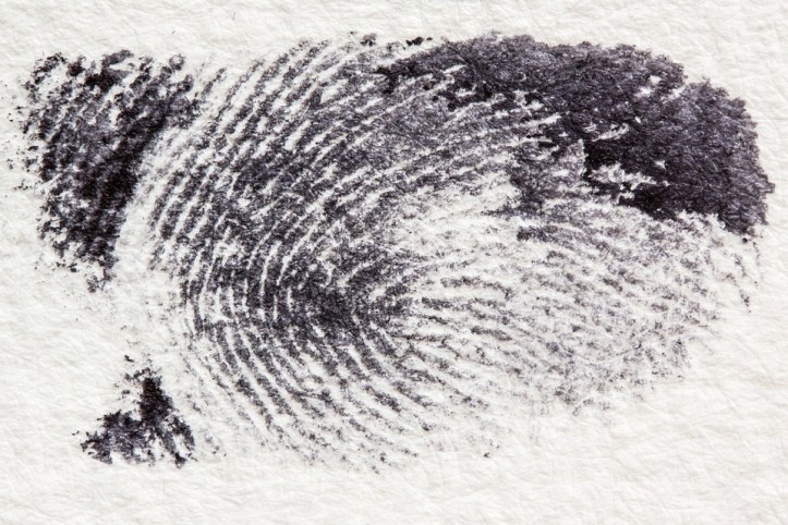 fingerprint-255899_960_720