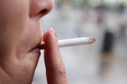 photo-d-illustration-francois-destoc_3545676_494x330p