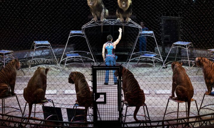 612d4174f41e2330b6b61a40cdcb0