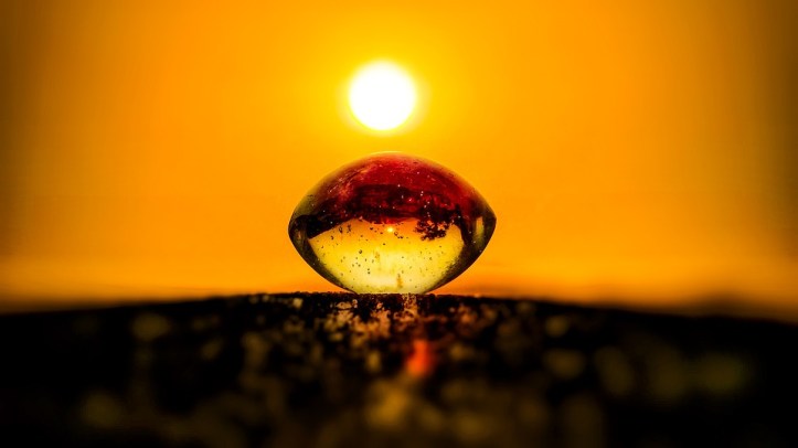 nature-3280020_960_720